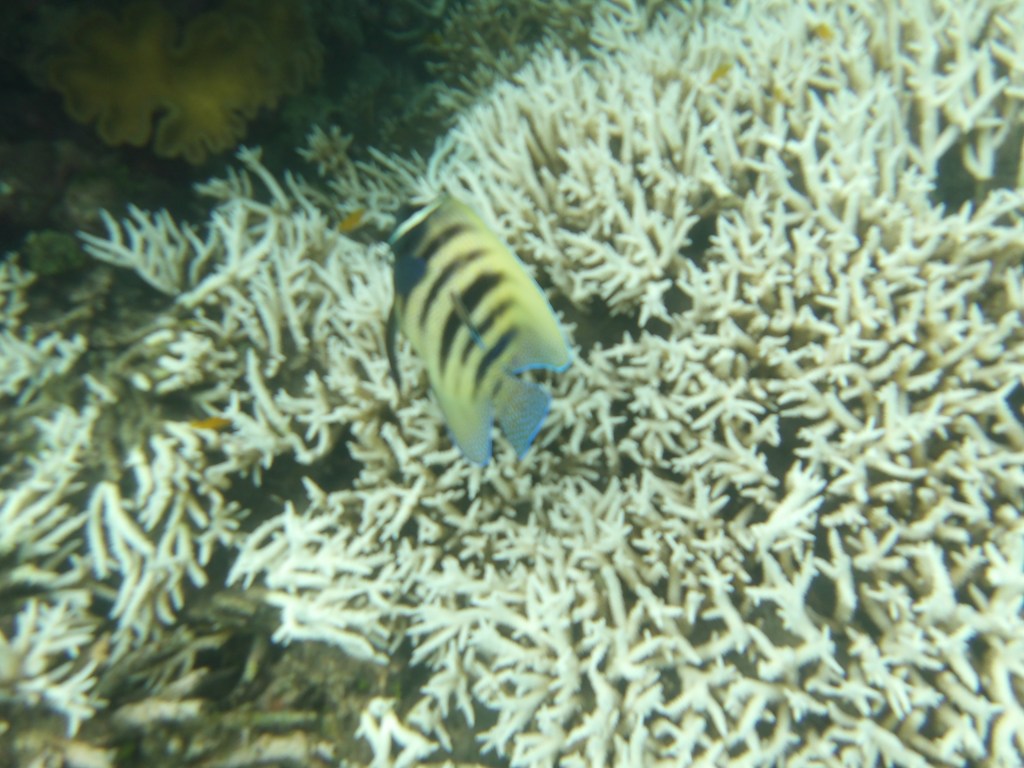 Cairns, Australia — Day 62 of&nbsp;138