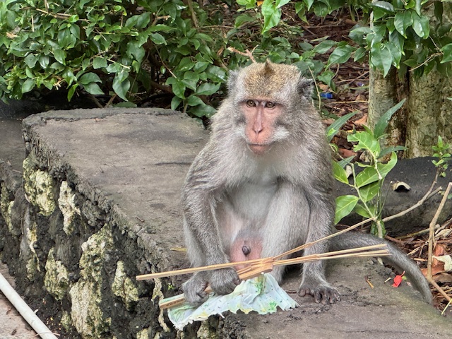 Bali, Indonesia — Day 71 of&nbsp;138
