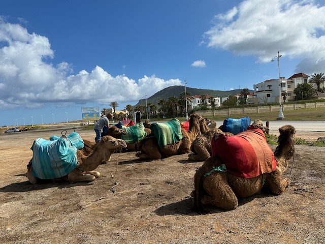 Tangir, Morocco — Day 127 of&nbsp;138