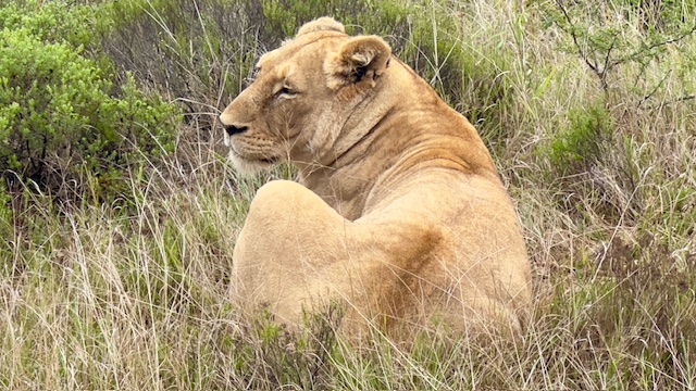 Port Elizabeth, South Africa Day — Day 107 of&nbsp;138