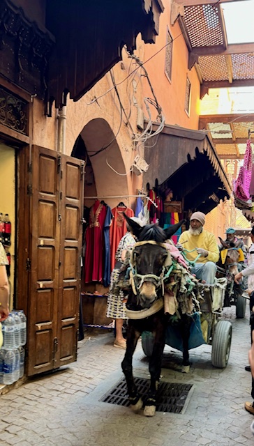 Agadir, Morocco — Day 125 of&nbsp;138